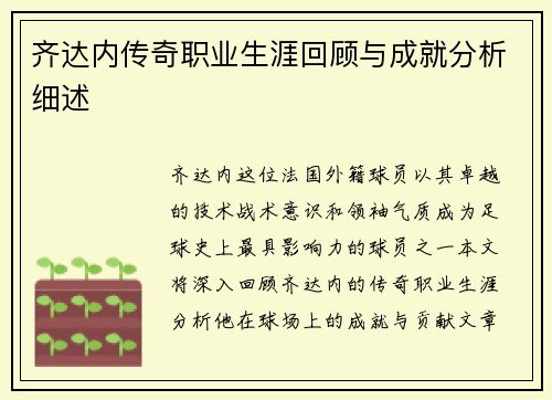 齐达内传奇职业生涯回顾与成就分析细述